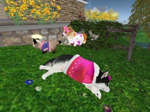 Web 5392a75e8da572759c000001