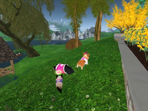 Web 5392a801a73e217078000001