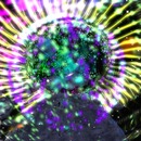 Thumb 54ac7c7b128cc93617000001