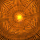 Thumb 6779cb6b1711e75044a7d082