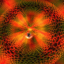 Thumb 6779d7afbf5174478d805d38