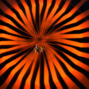 Thumb 6779d7f459dad41fc4a1457b