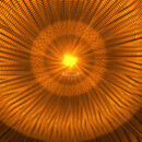 Thumb 677b488274b5717124c78be1