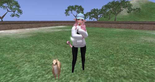 Web 613a6c797d595364035966b3