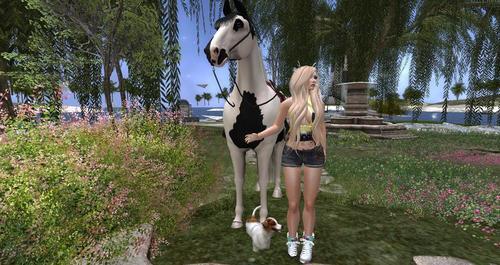 Web 613ab92c7d595372255966b3