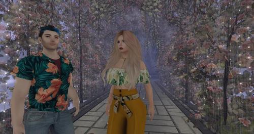 Web 613c17b4542ef40ca4edf1c1