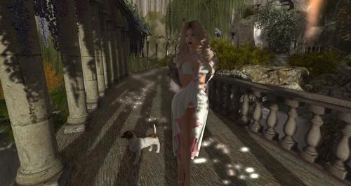 Web 613d0cbbd1b54d760041a8aa