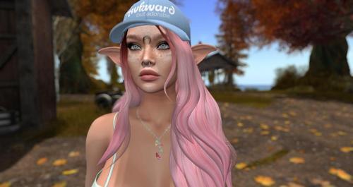 Web 613d5b7131b78c1ff9935b4a