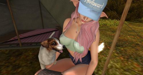 Web 613d5c91215bfa603855282f