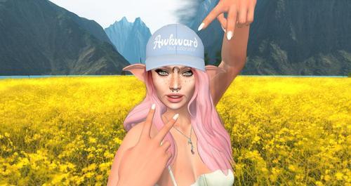 Web 613d638c31b78c2de7935b4a