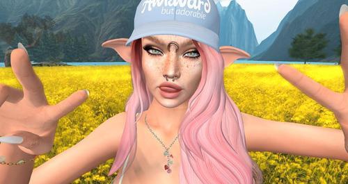 Web 613d63ce66951e33d4dd45a5