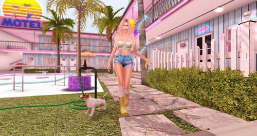 Web 613d6722215bfa78b455282f