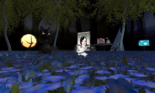 Web 5b381688289dd2402a000001