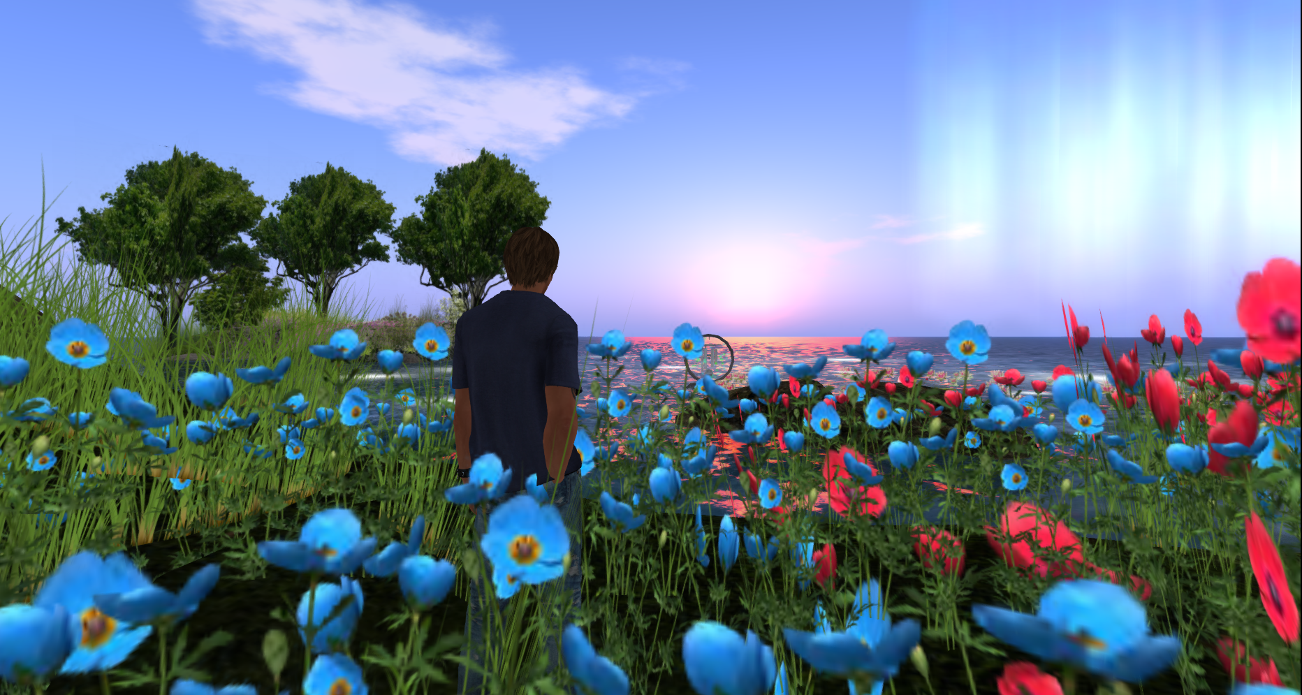 Original 54f295a58da5721be1000001