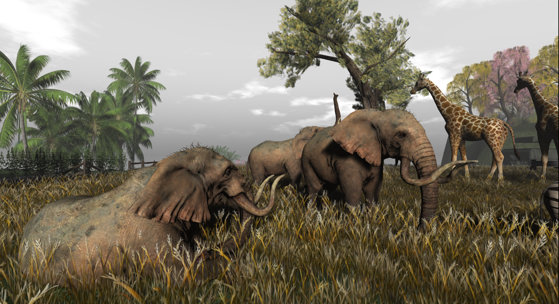 Original 580565c2f8a1ec4ffd000001