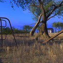 Thumb 5172f825cfe2c83c02000001