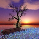 Thumb 53507c54128cc9470e000001