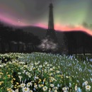 Thumb 5355c277128cc97dc8000001