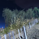 Thumb 53c1e3b6f8a1ec5b79000001