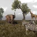 Thumb 58056529b0154048a5000001