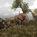 Thumb 58056587f8a1ec4d9c000001