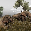 Thumb 580565c2f8a1ec4ffd000001