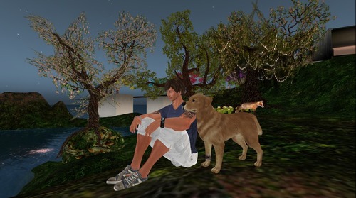 Web 516f38e69079fc2371000001