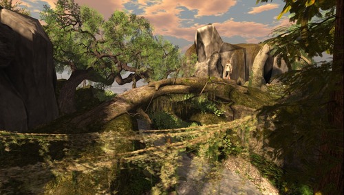 Web 53781a04a73e213494000001