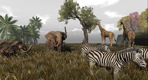 Web 58056529b0154048a5000001