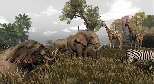 Web 58056587f8a1ec4d9c000001