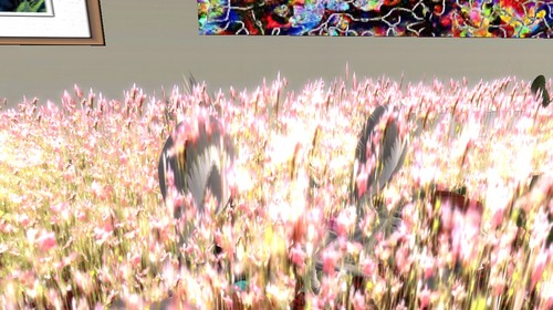 Web 553eb0b3f8a1ec0a5f000001