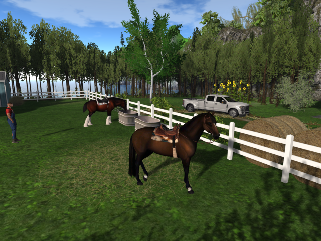 Original 64dc768e15684f3c426b98c5