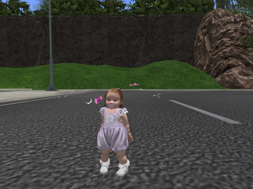 Web 64b85307597e1a3a2531fa0e