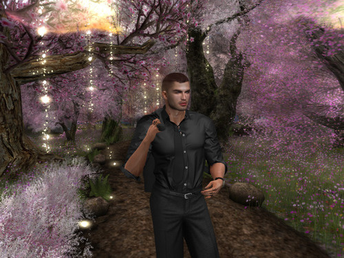 Web 65c8a71cbda26c5cb88917a6