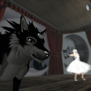 Thumb 4f74c50cddbf594286000001