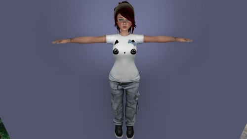 Web 52546b812b65c2383d000001