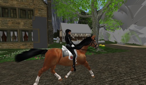 Web 55217339128cc97b60000001