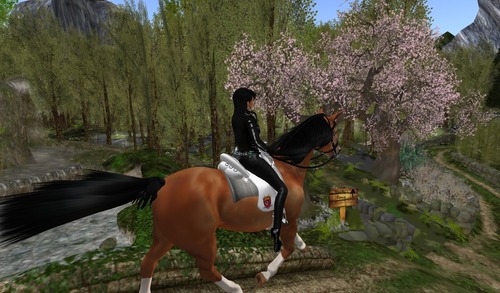 Web 55217420f8a1ec5d21000001