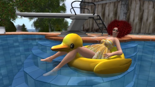 Web 4ff75cecd559a732e8000001