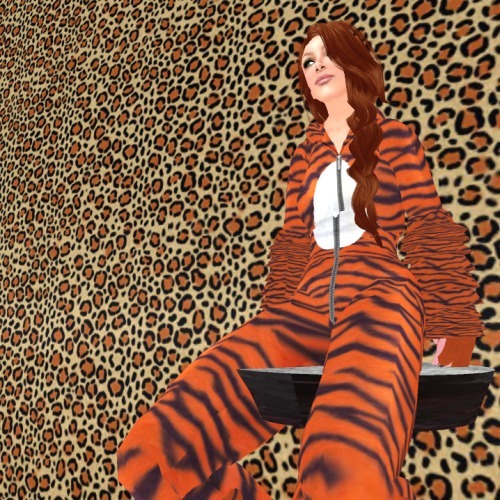 Web 5127f56b857cf218d7000001