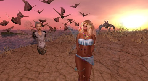 Web 503bee7dd11c552c36000001