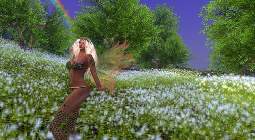 Web 509505f24177e3667a000001