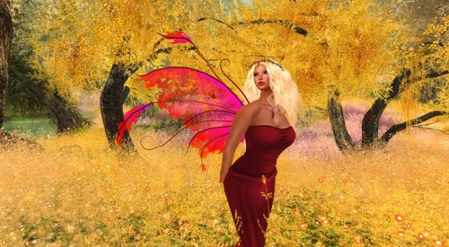 Web 5095f6589ce30822fc000001