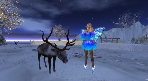 Web 50b9e82cf36b947340000001