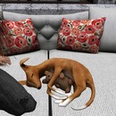 Thumb 5353949df8a1ec20cc000001