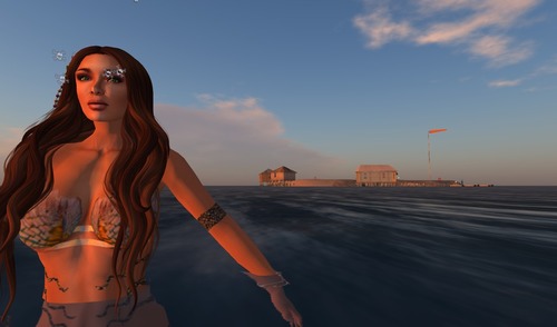 Web 55b2ba27a73e217b32000001