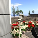 Thumb 548308e3128cc92f76000001