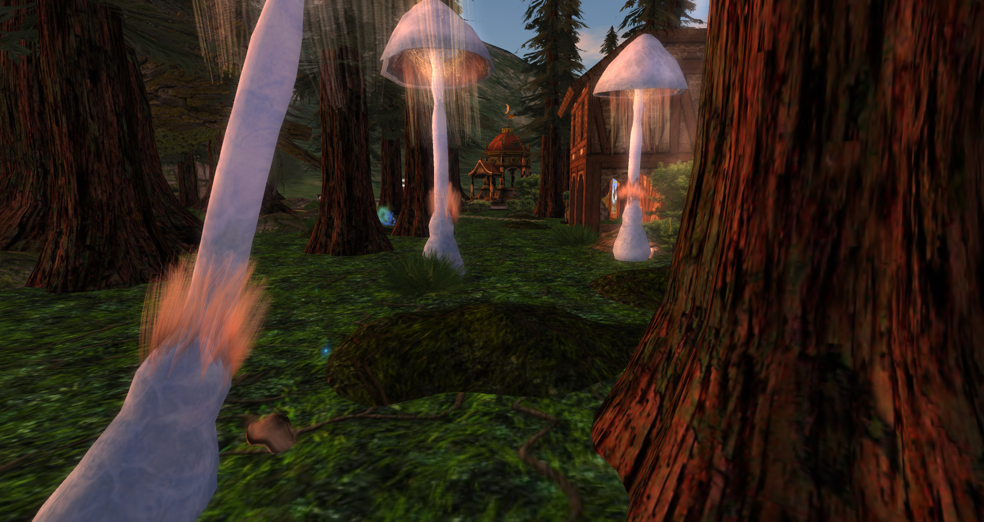 Original 502edfb56a80ec3c06000001