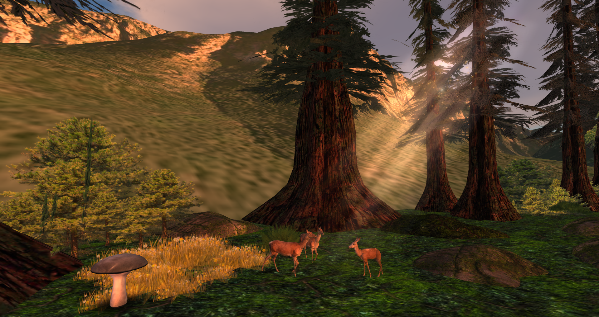 Original 502ee28adca0d56367000001