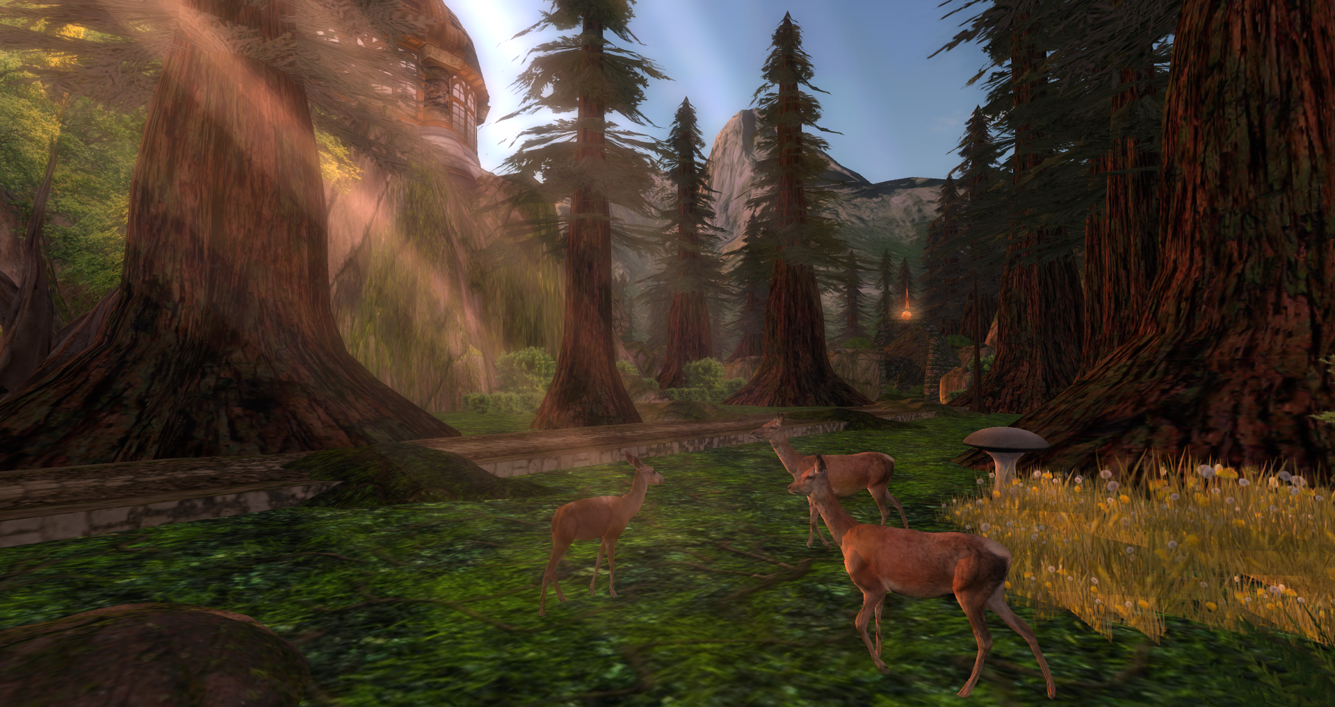 Original 502ee3005a6ac5541d000001